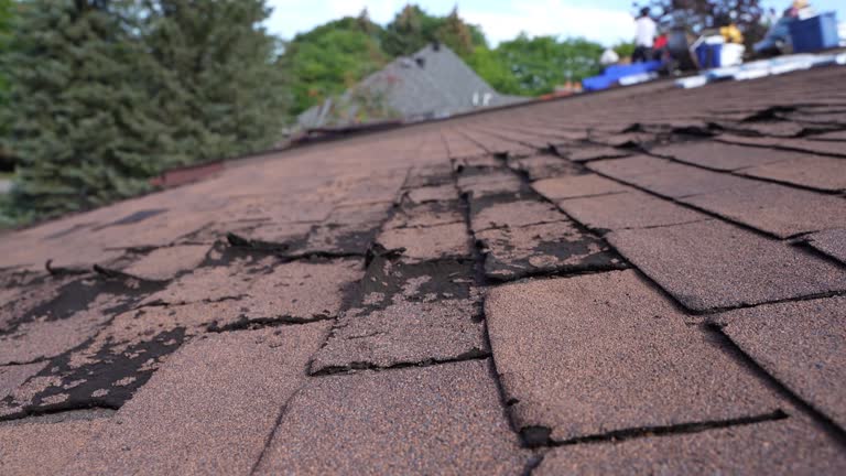 Best Roof Coating and Sealing  in Syracuse, IN