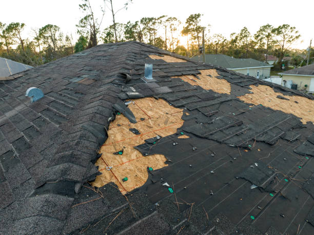Best Flat Roofing  in Syracuse, IN